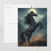 Carte Postale cheval majestueux (Devant / Derrière)