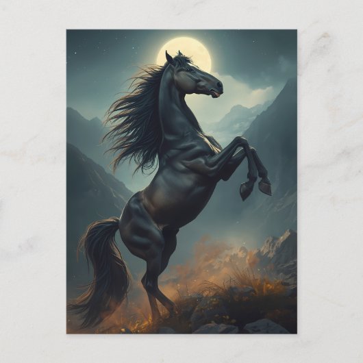 Carte Postale cheval majestueux (Devant)