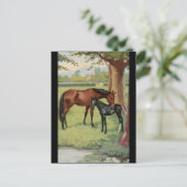 Carte Postale Cheval Mare Foal Équestre Vintage Image (Debout devant)