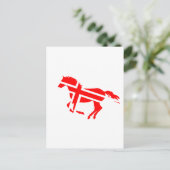 Carte Postale Cheval marqué (Debout devant)