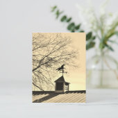 Carte Postale Cheval Météo Vane sepia (Debout devant)