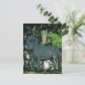 Carte Postale Cheval miniature debout dans les arbres (Debout devant)