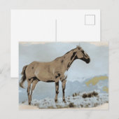 Carte Postale *~* Cheval - Montagnes Hill AR22 Equine Western (Devant / Derrière)