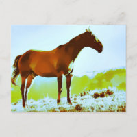 *~* Cheval - Montagnes Rocheuses AR22 Artiste équi