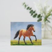 Carte Postale Cheval Mustang Buckskin Wild Runse (Debout devant)