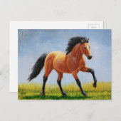 Carte Postale Cheval Mustang Buckskin Wild Runse (Devant / Derrière)