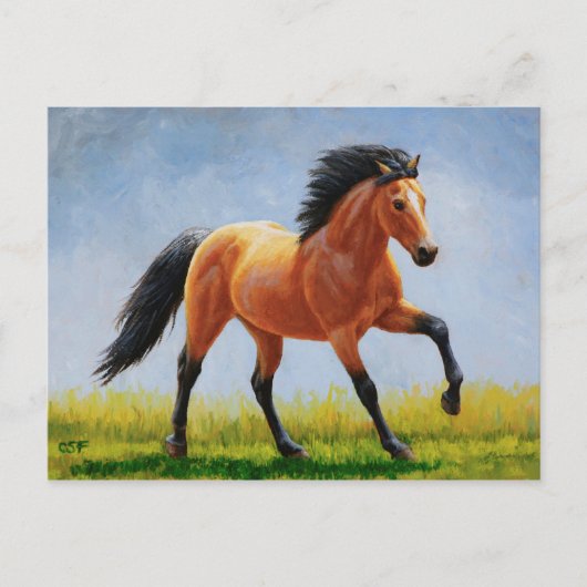 Carte Postale Cheval Mustang Buckskin Wild Runse (Devant)