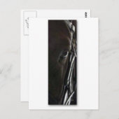 Carte Postale cheval noir (Devant / Derrière)