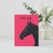 Carte Postale Cheval noir (Debout devant)