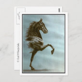 Carte Postale Cheval noir à selle (Devant / Derrière)