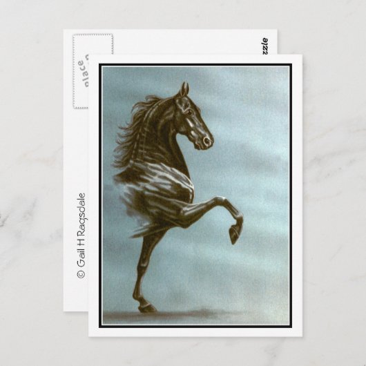 Carte Postale Cheval noir à selle (Devant / Derrière)