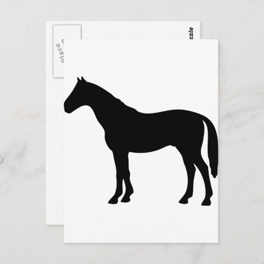 Carte Postale cheval noir - chevaux (Devant / Derrière)