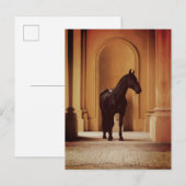 Carte Postale Cheval noir élégant dans une arche dorée (Devant / Derrière)