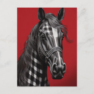 Carte Postale Cheval noir en plaid