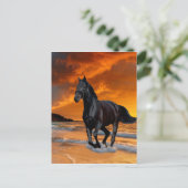 CARTE POSTALE CHEVAL NOIR, ESCALION NOIR, FONCTIONNEMENT ET GRAT (Debout devant)