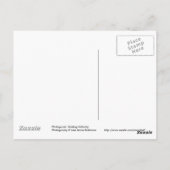 Carte postale Cheval noir et blanc (Dos)
