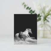 Carte Postale Cheval noir et blanc en action (Debout devant)