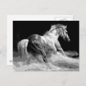 Carte Postale Cheval noir et blanc en action (Devant / Derrière)