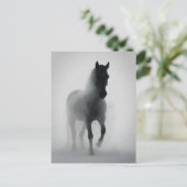 Carte Postale Cheval noir mystérieux émergeant de la brume (Debout devant)