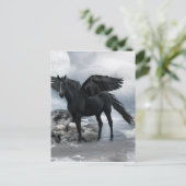 Carte Postale cheval noir Pegasus (Debout devant)