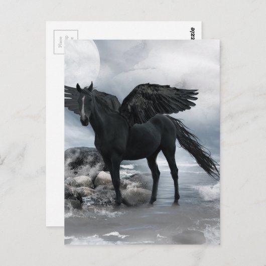 Carte Postale cheval noir Pegasus (Devant / Derrière)