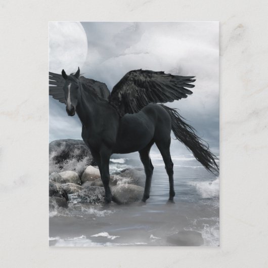 Carte Postale cheval noir Pegasus (Devant)