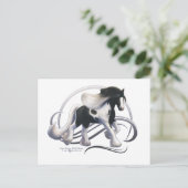 Carte Postale Cheval noir Tobiano Gypsy Vanner (Debout devant)