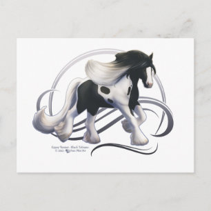 Carte Postale Cheval noir Tobiano Gypsy Vanner