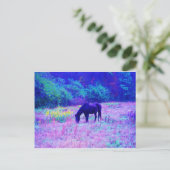 Carte Postale Cheval noir violet dans le champ Arc-en-ciel (Debout devant)