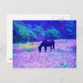 Carte Postale Cheval noir violet dans le champ Arc-en-ciel (Devant / Derrière)