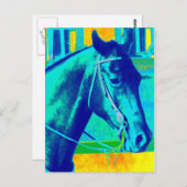 Carte Postale Cheval occidental coloré (Devant / Derrière)