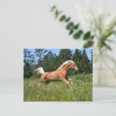 Carte Postale Cheval Palomino courant à travers une prairie (Debout devant)