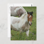 Carte postale Cheval Peinture Clippée (Devant / Derrière)