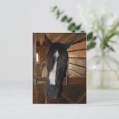 Carte Postale Cheval Peinture/Pinto (Debout devant)