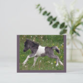 Carte postale Cheval personnalisable #3 (Debout devant)