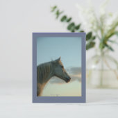 Carte postale Cheval, personnalisable 6 (Debout devant)