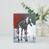 Carte Postale Cheval Pinto (Debout devant)