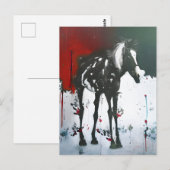 Carte Postale Cheval Pinto (Devant / Derrière)