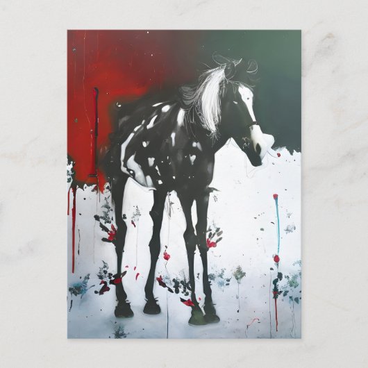 Carte Postale Cheval Pinto (Devant)