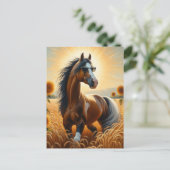 Carte Postale Cheval Pinto de Bay en lunettes de soleil (Debout devant)