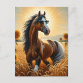 Carte Postale Cheval Pinto de Bay en lunettes de soleil (Devant)