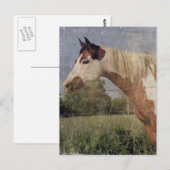 Carte Postale Cheval Pinto Grunge (Devant / Derrière)