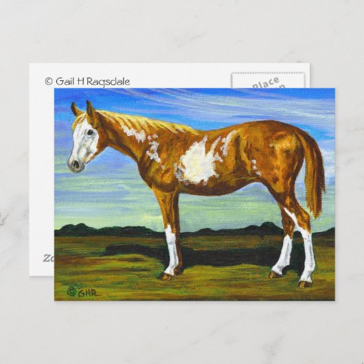 Carte postale Cheval Pinto/Paint (Devant / Derrière)