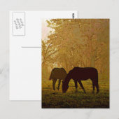 Carte Postale Cheval Pop Art (Devant / Derrière)