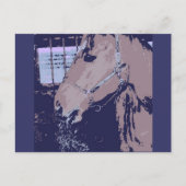 Carte Postale Cheval Pop Art (Devant)