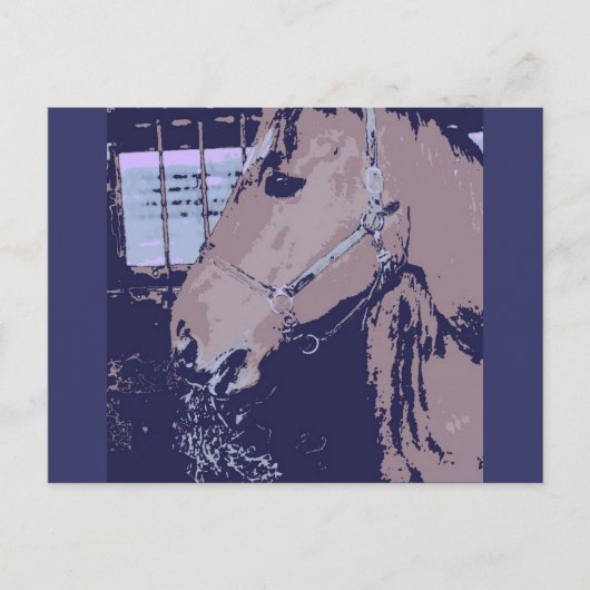 Carte Postale Cheval Pop Art (Devant)