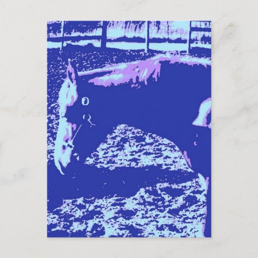 Carte Postale Cheval Pop Art (Devant)