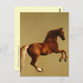 CARTE POSTALE CHEVAL ROUGE (Devant / Derrière)