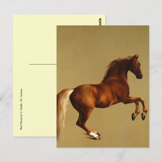 CARTE POSTALE CHEVAL ROUGE (Devant / Derrière)