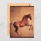 CARTE POSTALE CHEVAL ROUGE (Devant / Derrière)